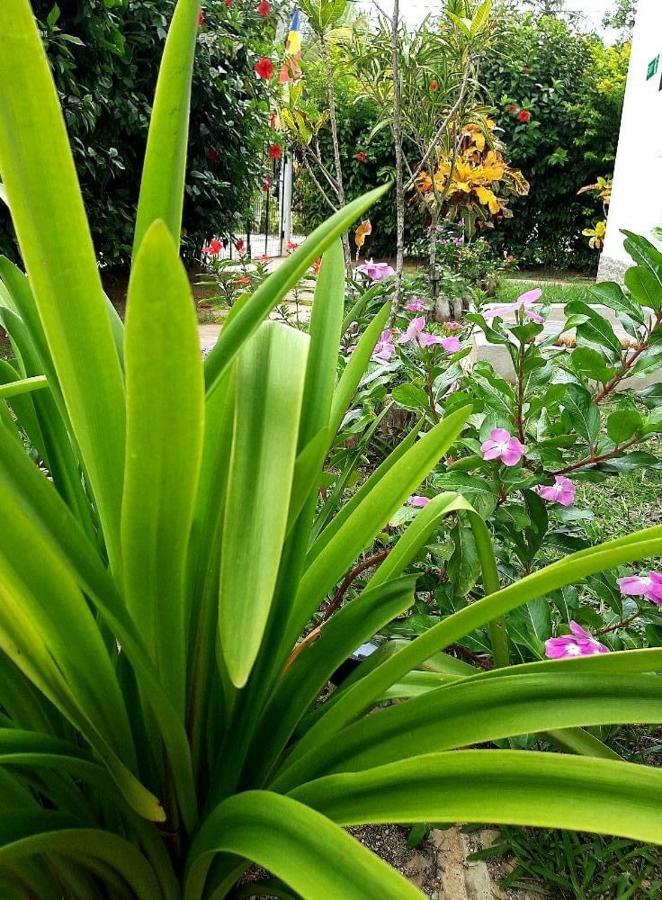 La Source Self Catering Hotel La Digue Exterior photo